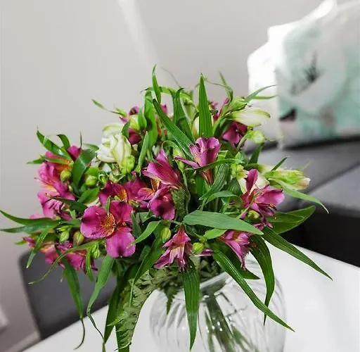 Pepes Διαμέρισμα *